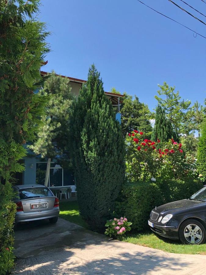 Vila Deni Tushemisht エクステリア 写真